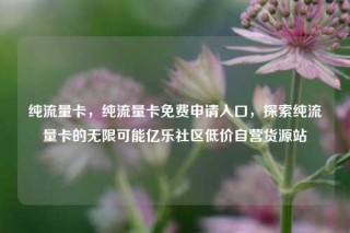 纯流量卡，纯流量卡免费申请入口，探索纯流量卡的无限可能亿乐社区低价自营货源站