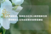 小红书刷粉丝，如何在小红书上高效地吸引并保持粉丝？亿乐社区低价自营货源站