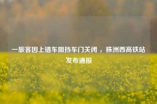 一旅客因上错车阻挡车门关闭 ，株洲西高铁站发布通报