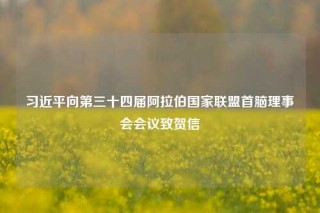 习近平向第三十四届阿拉伯国家联盟首脑理事会会议致贺信