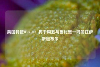 美国特使Witkoff：将于周五与鲁比奥一同前往伊斯坦布尔