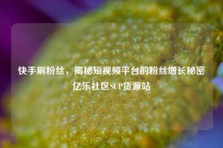 快手刷粉丝，揭秘短视频平台的粉丝增长秘密亿乐社区SUP货源站