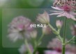 小红书点工