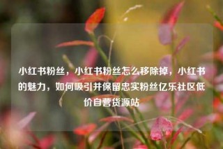 小红书粉丝，小红书粉丝怎么移除掉，小红书的魅力，如何吸引并保留忠实粉丝亿乐社区低价自营货源站
