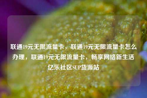 联通19元无限流量卡，联通19元无限流量卡怎么办理	，联通19元无限流量卡，畅享网络新生活亿乐社区SUP货源站  第1张