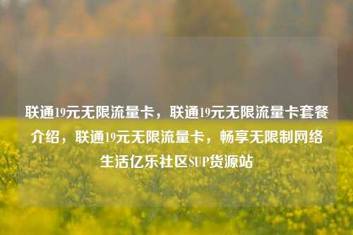联通19元无限流量卡	，联通19元无限流量卡套餐介绍，联通19元无限流量卡，畅享无限制网络生活亿乐社区SUP货源站  第1张